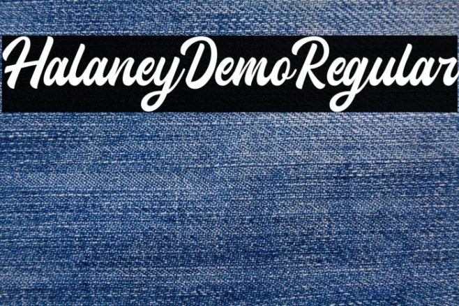 HalaneyDemo-Regular Example 2