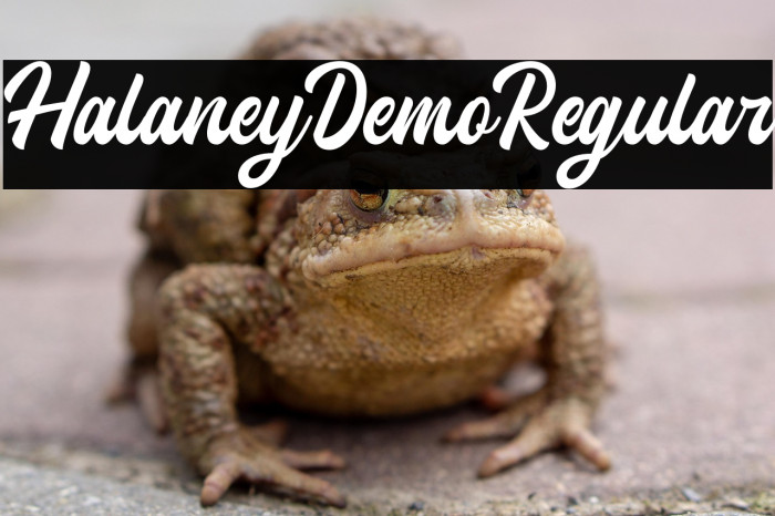 HalaneyDemo-Regular Example 3