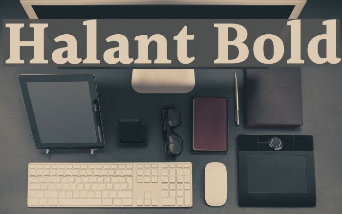 Halant Bold Font examples