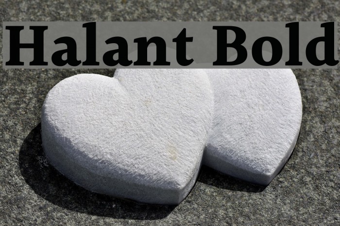 Halant Bold Font examples