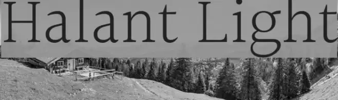 Halant Light Font examples