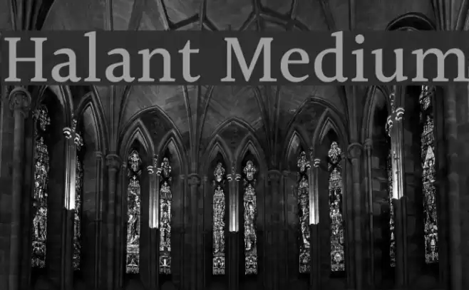 Halant Medium Font examples