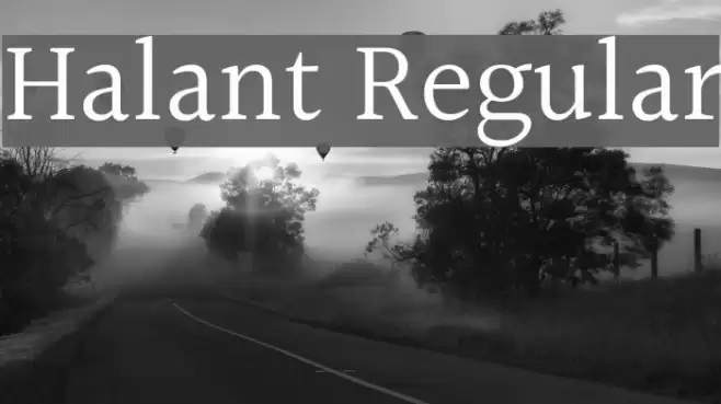 Halant Regular Font examples