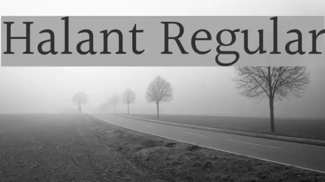 Halant Regular Font examples