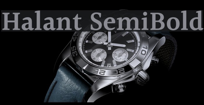 Halant SemiBold Example 2