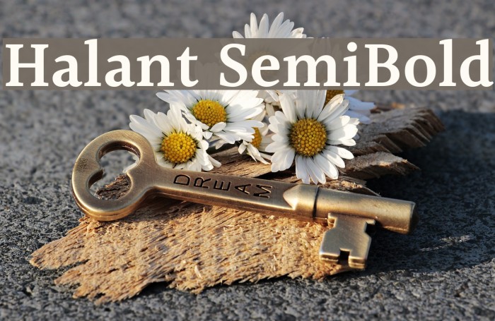 Halant SemiBold Example 3