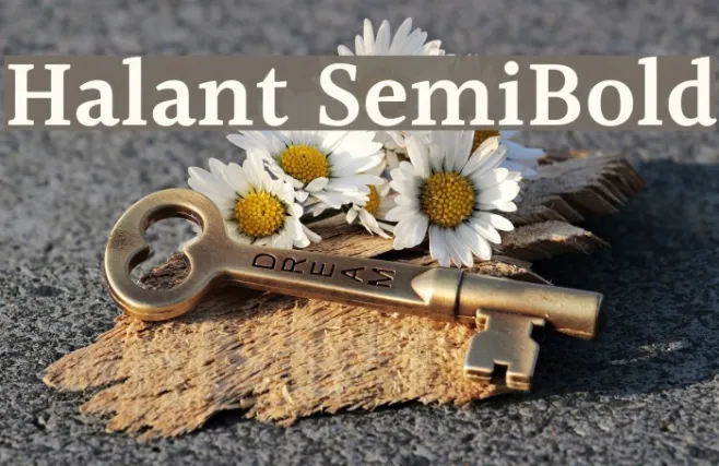 Halant SemiBold Example 3