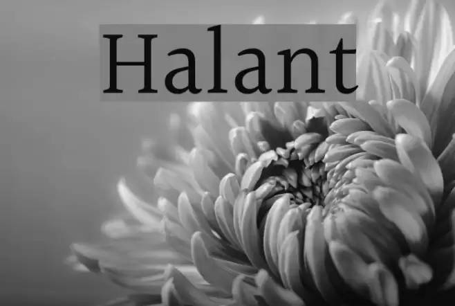 Halant Schriftart examples