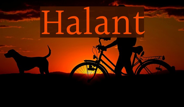 Halant Font examples