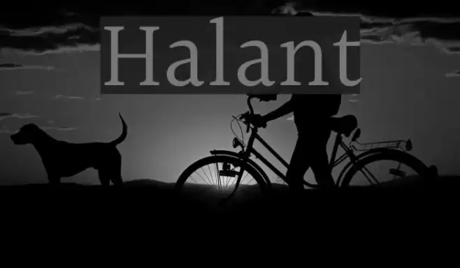 Halant Schriftart examples