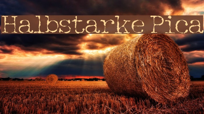 Halbstarke Pica Font examples