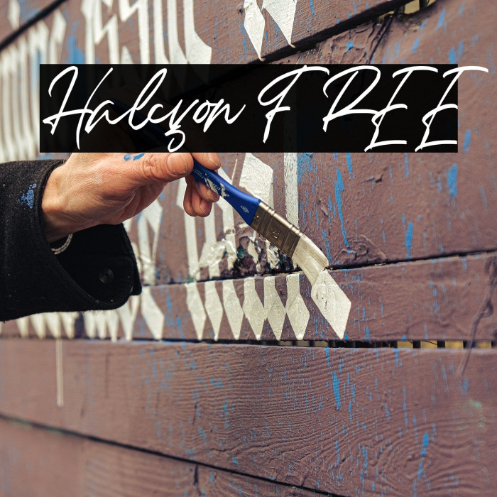 Halcyon FREE Example 1