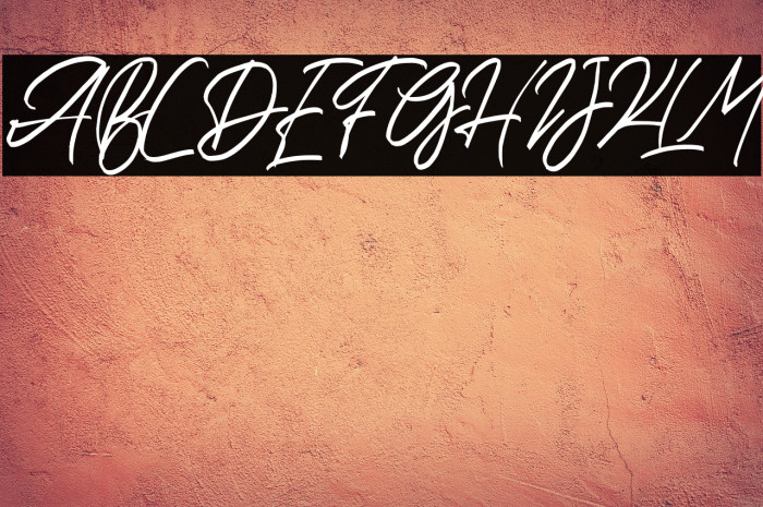 HalcyonFREE Example 2