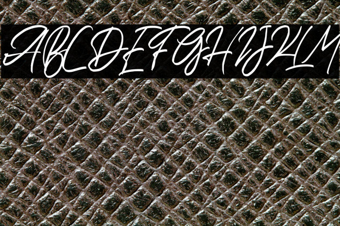 HalcyonFREE Example 3