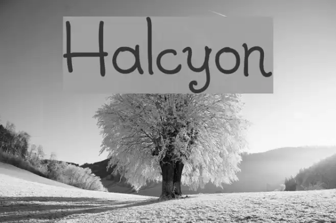 Halcyon Font examples