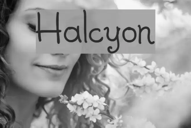 Halcyon Font examples