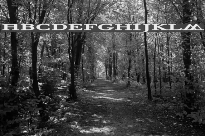 Halcyonia Superwide Font examples