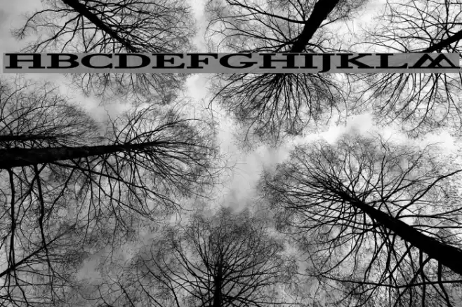 Halcyonia Font examples