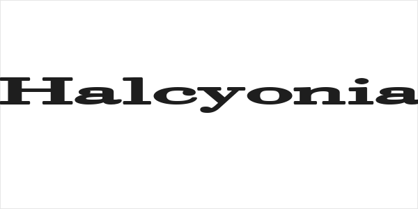 Halcyonia Logo