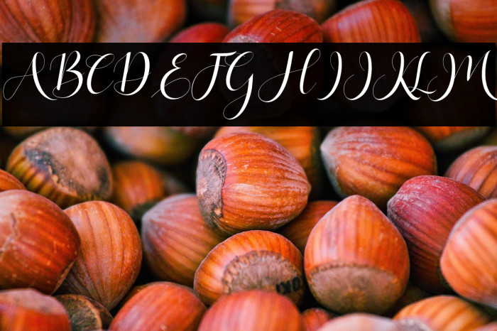 HaleighScript Example 1