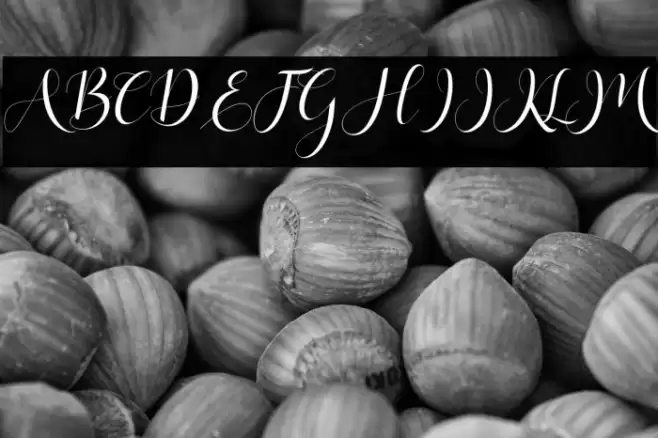 HaleighScript Font examples