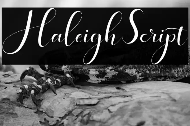 HaleighScript Font examples