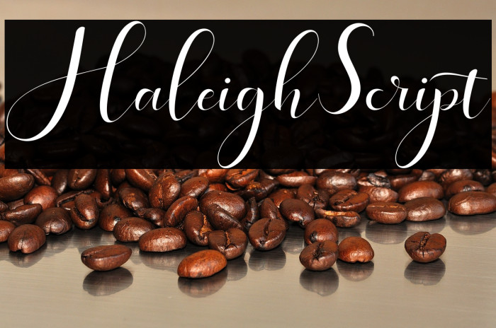 HaleighScript Example 2