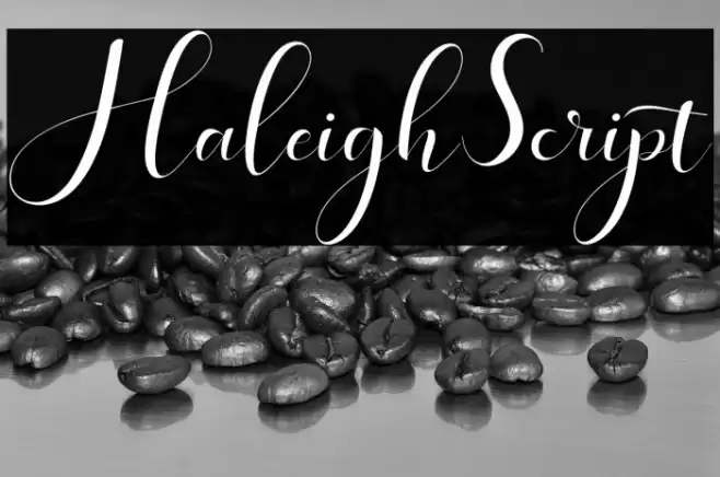 HaleighScript Font examples