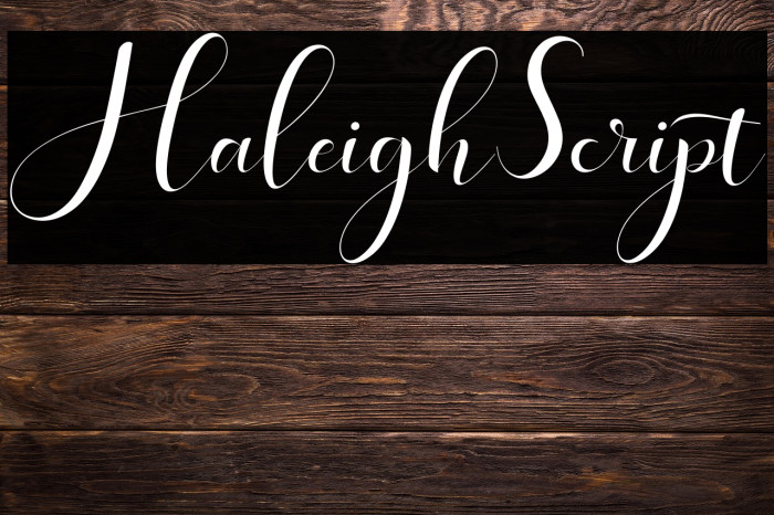 HaleighScript Example 3