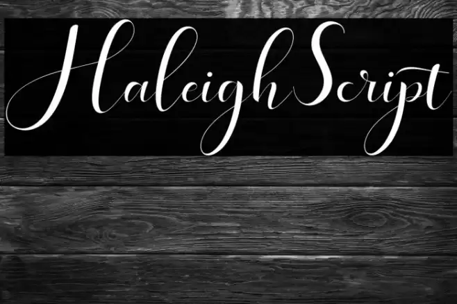 HaleighScript Font examples