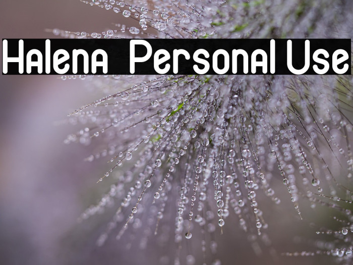Halena - Personal Use Example 1