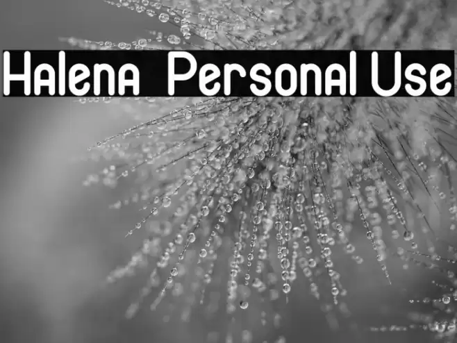 Halena - Personal Use Font examples