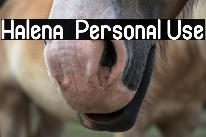 Halena - Personal Use Example 2