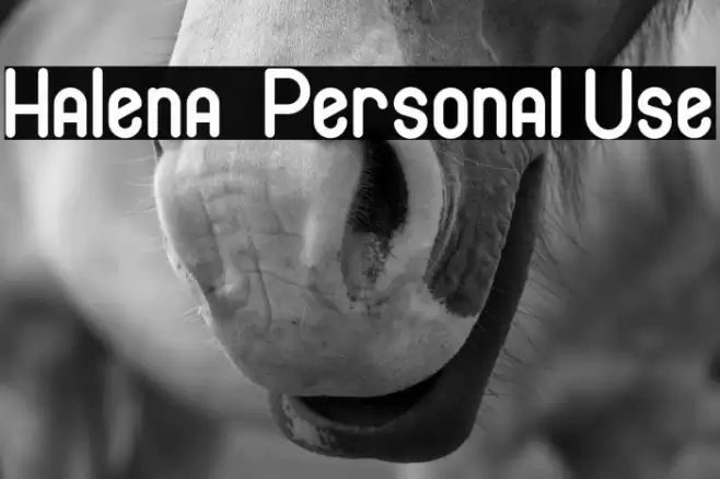 Halena - Personal Use Font examples