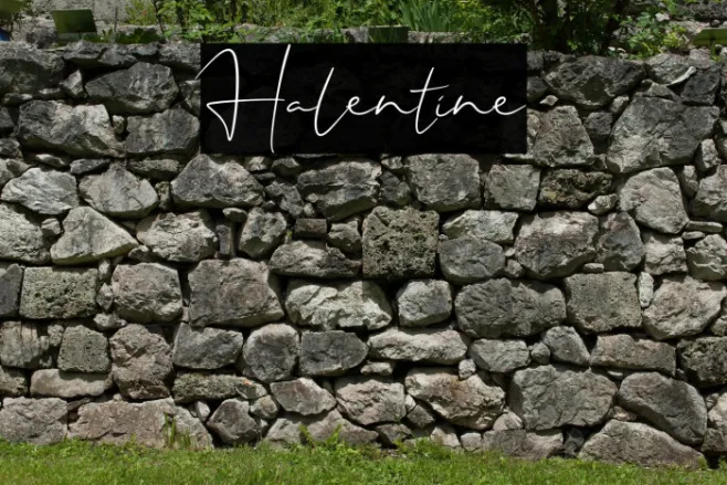 Halentine Example 3