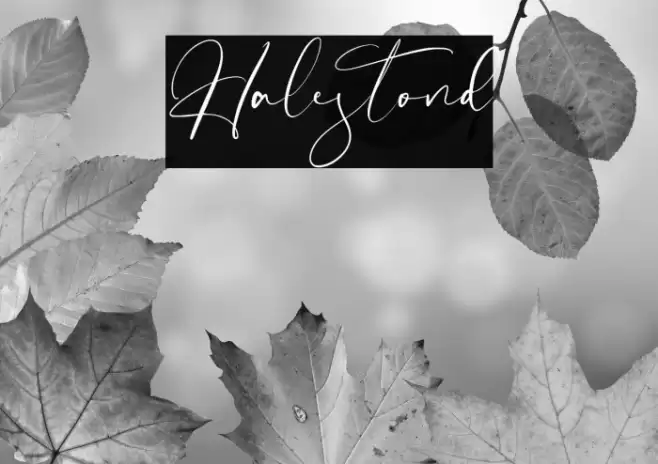 Halestond Font examples