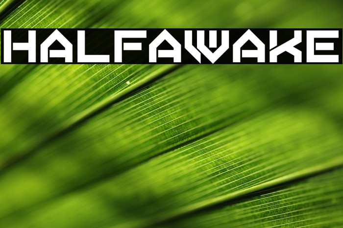 Half Awake Example 1