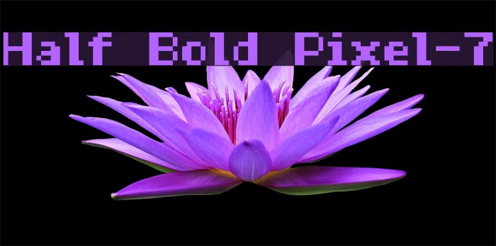 Half Bold Pixel-7 Font examples