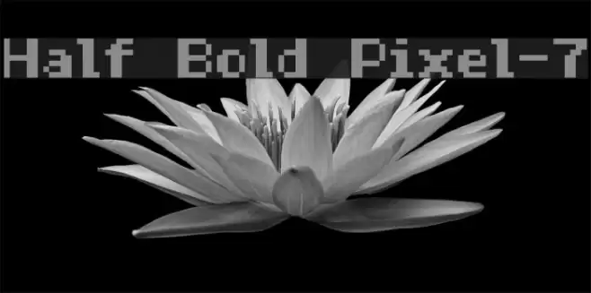 Half Bold Pixel-7 Шрифта examples