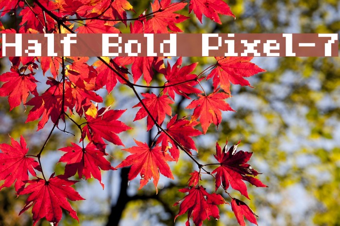 Half Bold Pixel-7 Font examples