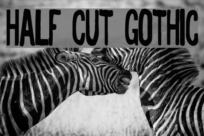 Half Cut Gothic Example 2
