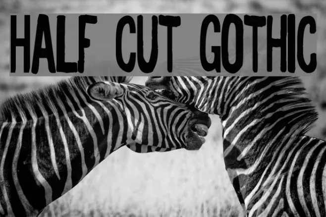 Half Cut Gothic Example 2