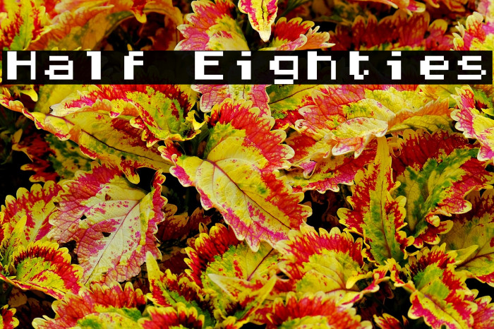 Half Eighties Example 1