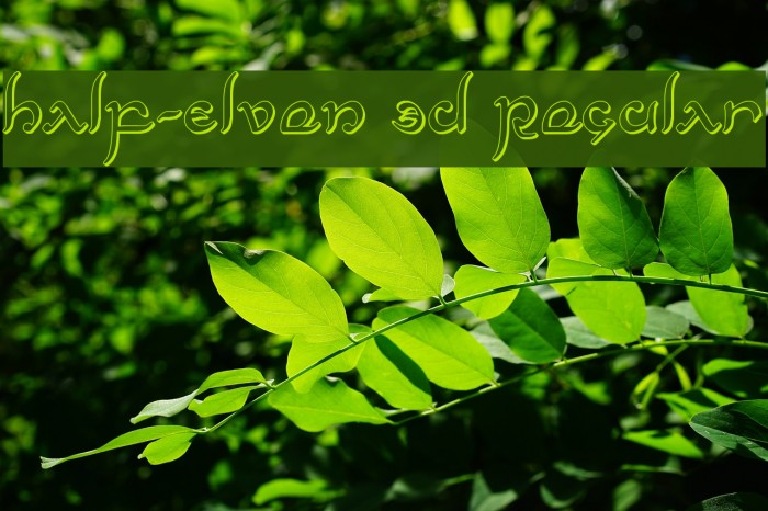 Half-Elven 3D Regular Font examples