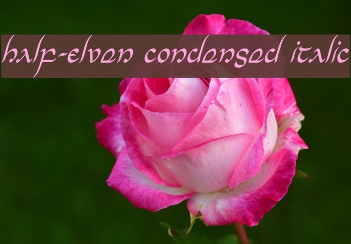 Half-Elven Condensed Italic Font examples