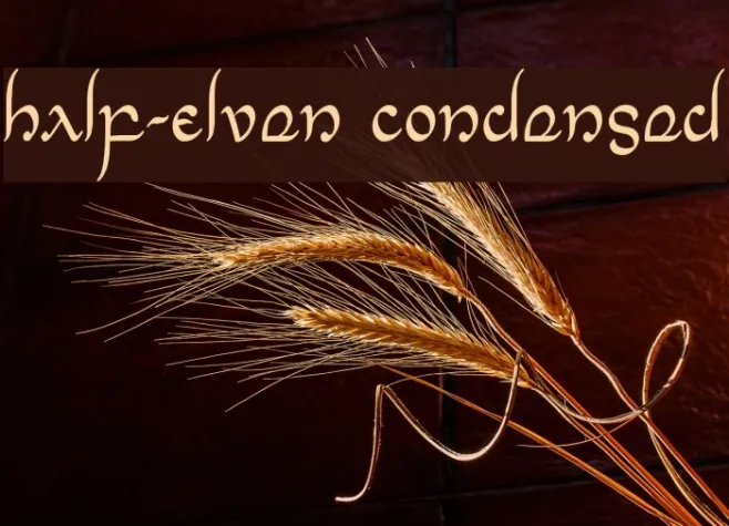 Half-Elven Condensed Example 2