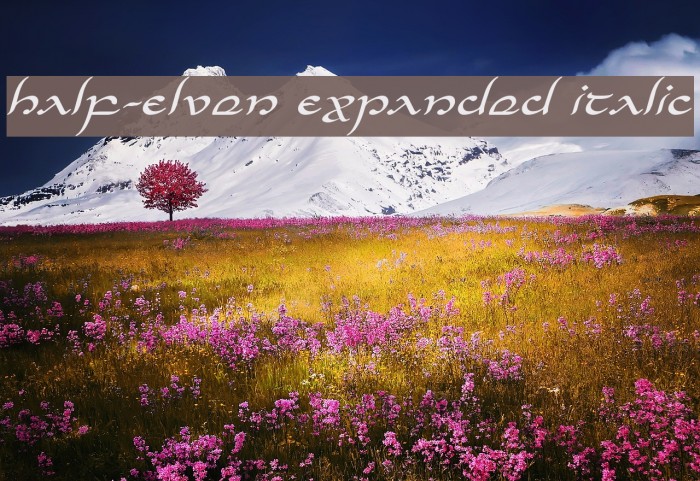 Half-Elven Expanded Italic Font examples