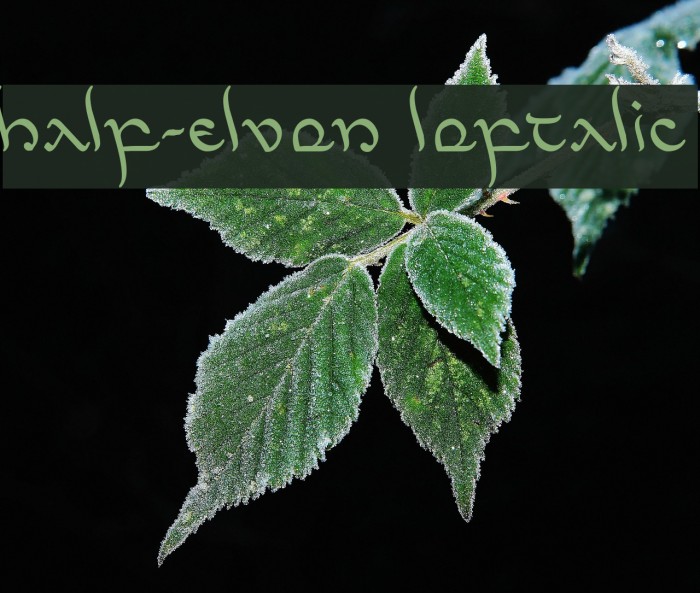 Half-Elven Leftalic Font examples