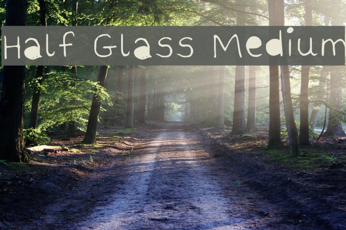 Half Glass Medium Font examples
