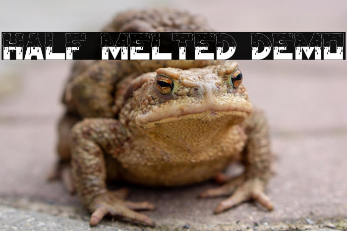 Half Melted Demo Example 1